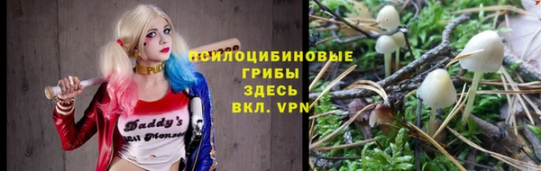 мет Белокуриха